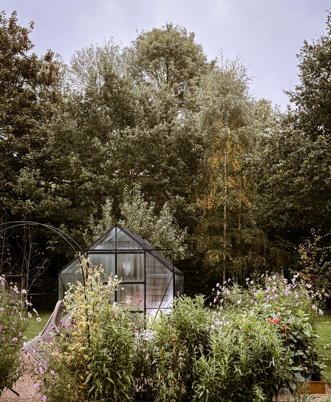 Photography storytelling in the garden.