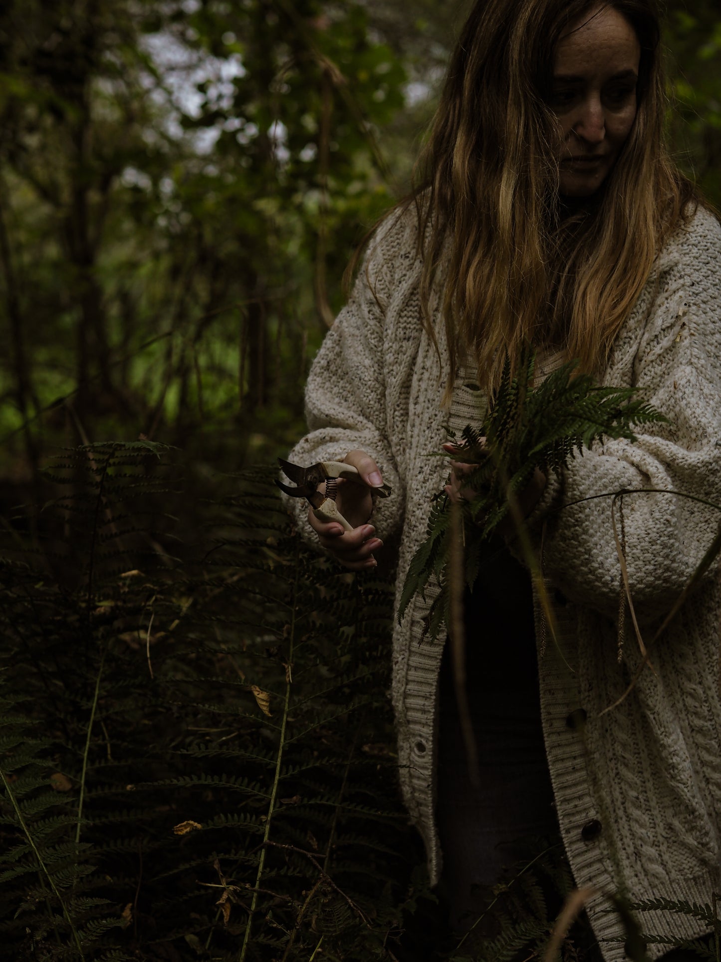 Foraged Christmas table arrangement workshop Sunday 8th December