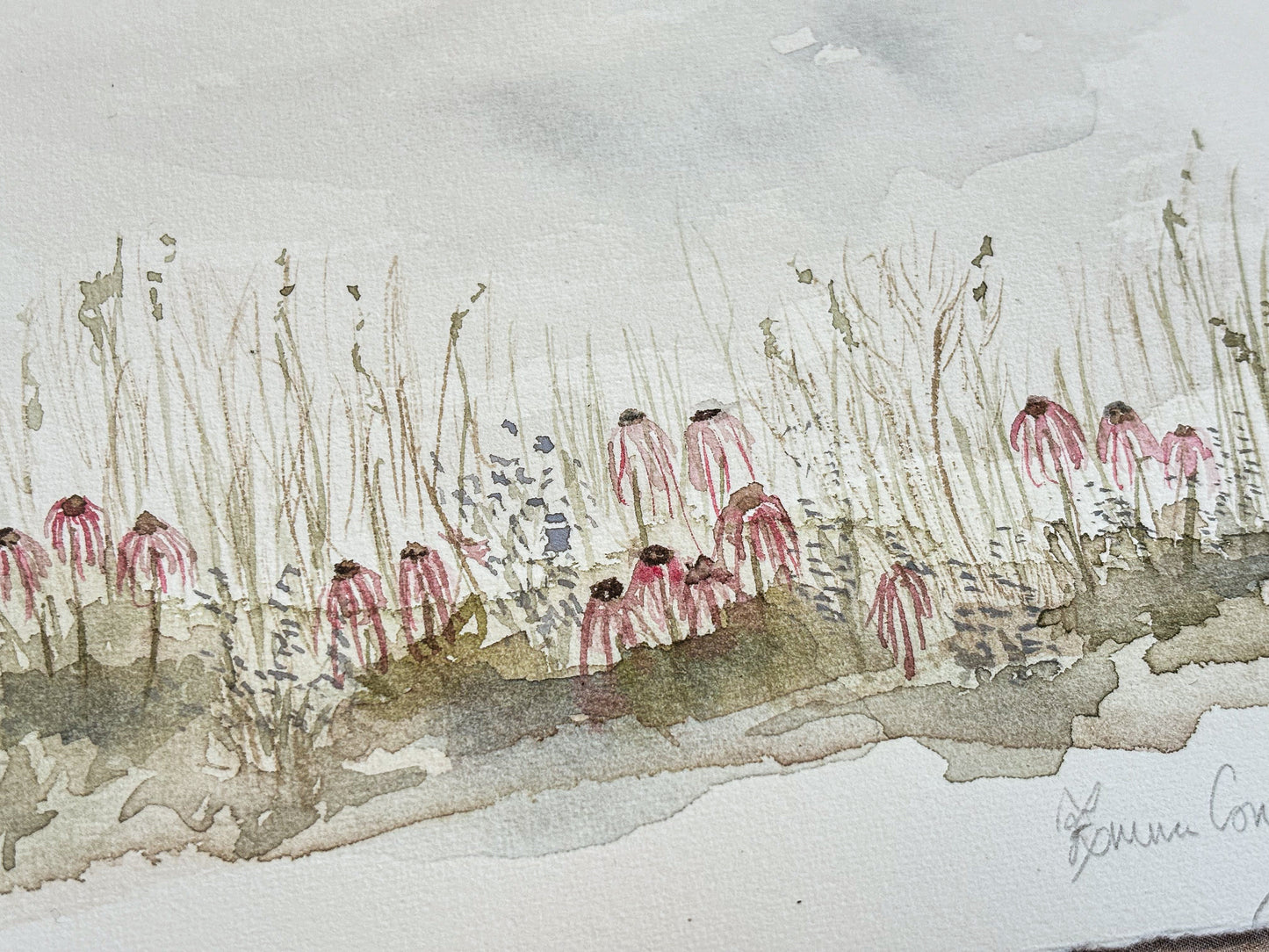 Prairie Flowers Watercolour