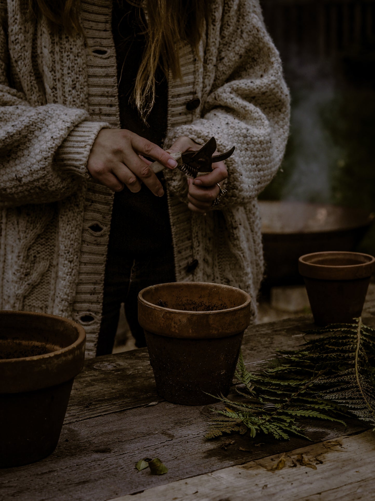 Foraged Christmas table arrangement workshop Sunday 8th December